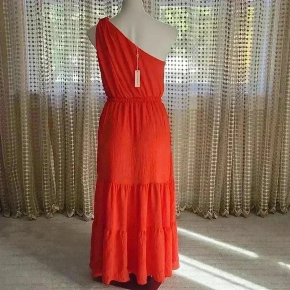 NWT Max Studio Papaya Ruffle Maxi Dress - Picture 5 of 6